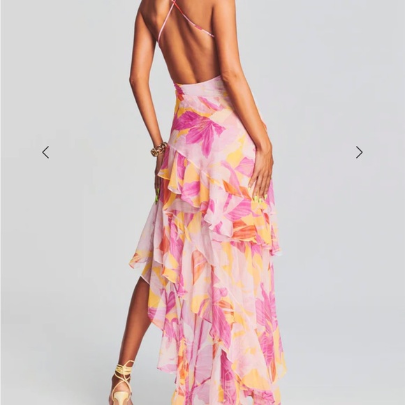 Retrofete Fatima 100% silk Dress - Picture 7 of 7